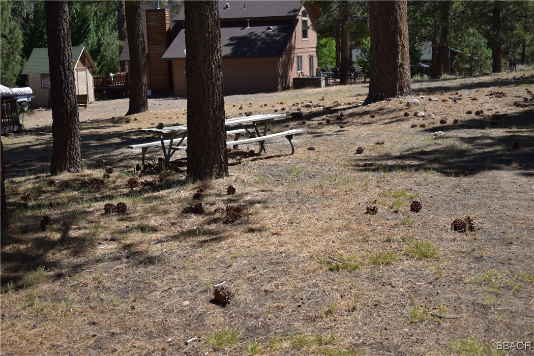 0 Forest Road Big Bear Lake, CA 92315 - Photo 6 of 7