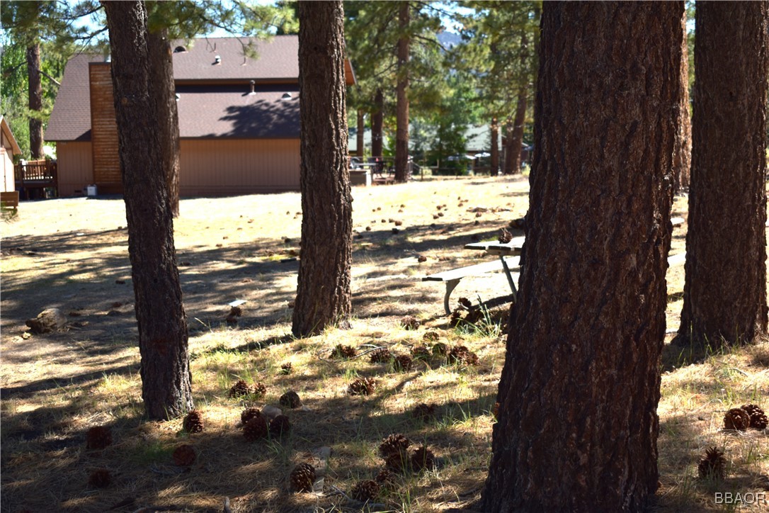 0 Forest Road Big Bear Lake, CA 92315 - Photo 7 of 7