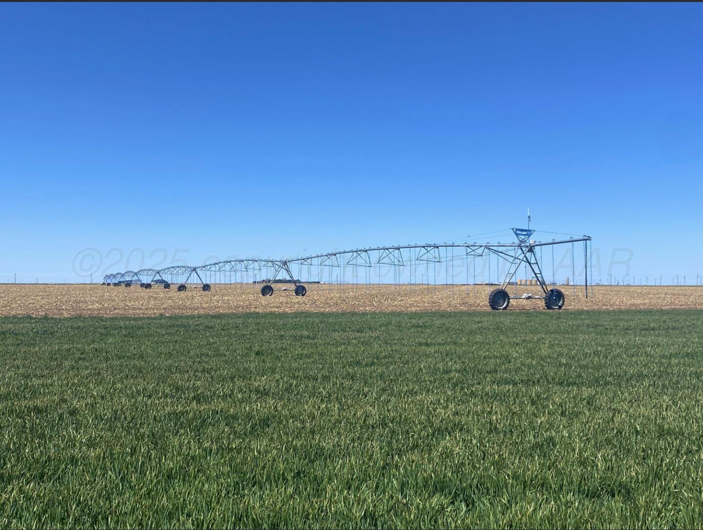 a view of a field with an ocean