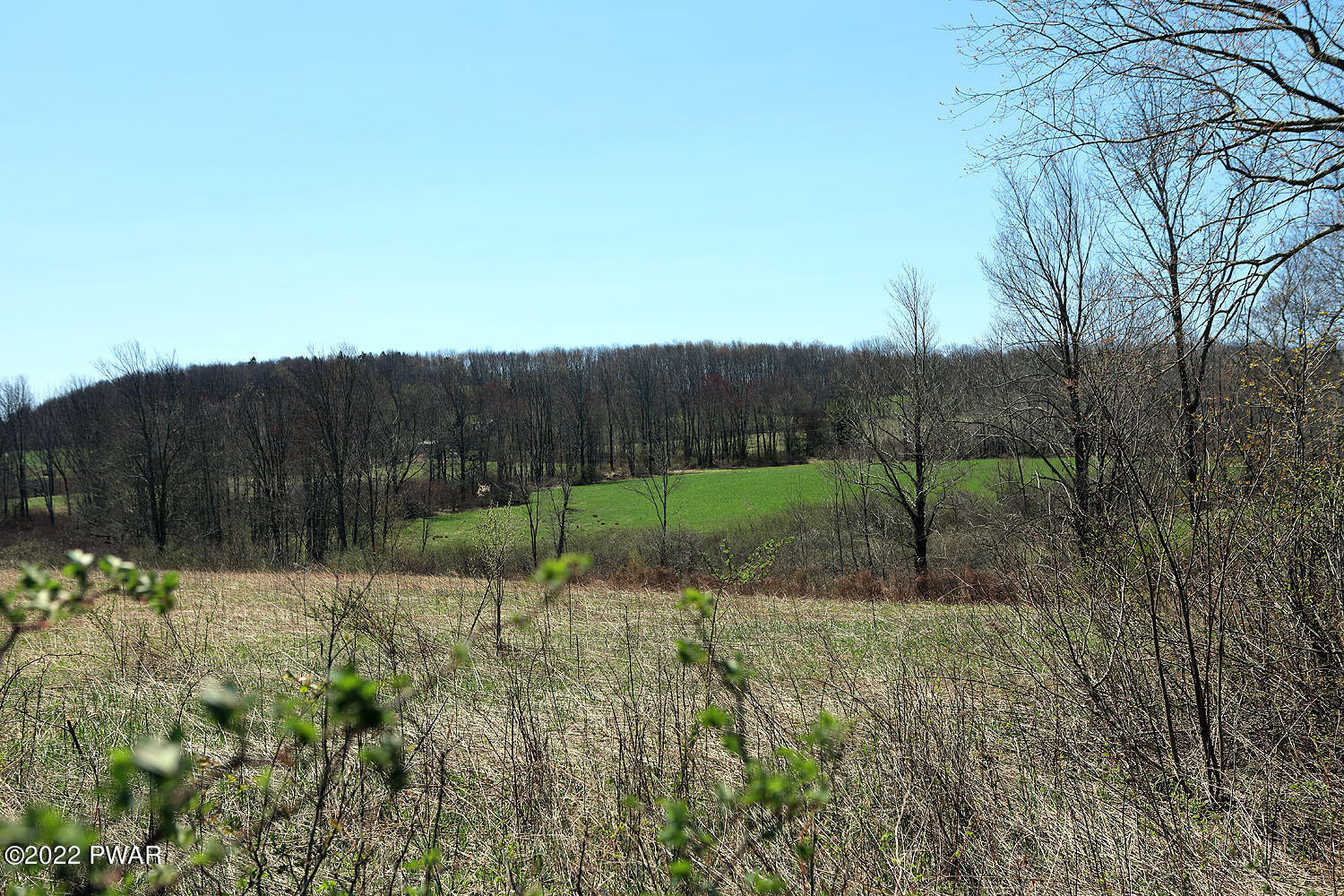 222 Valley Ridge Road Honesdale, PA 18431 - Photo 21 of 23 Rolling hillside