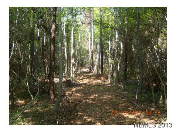 1327 Whortonsville Road Merritt, NC 28556 - Photo 1 of 5 Primary Photo