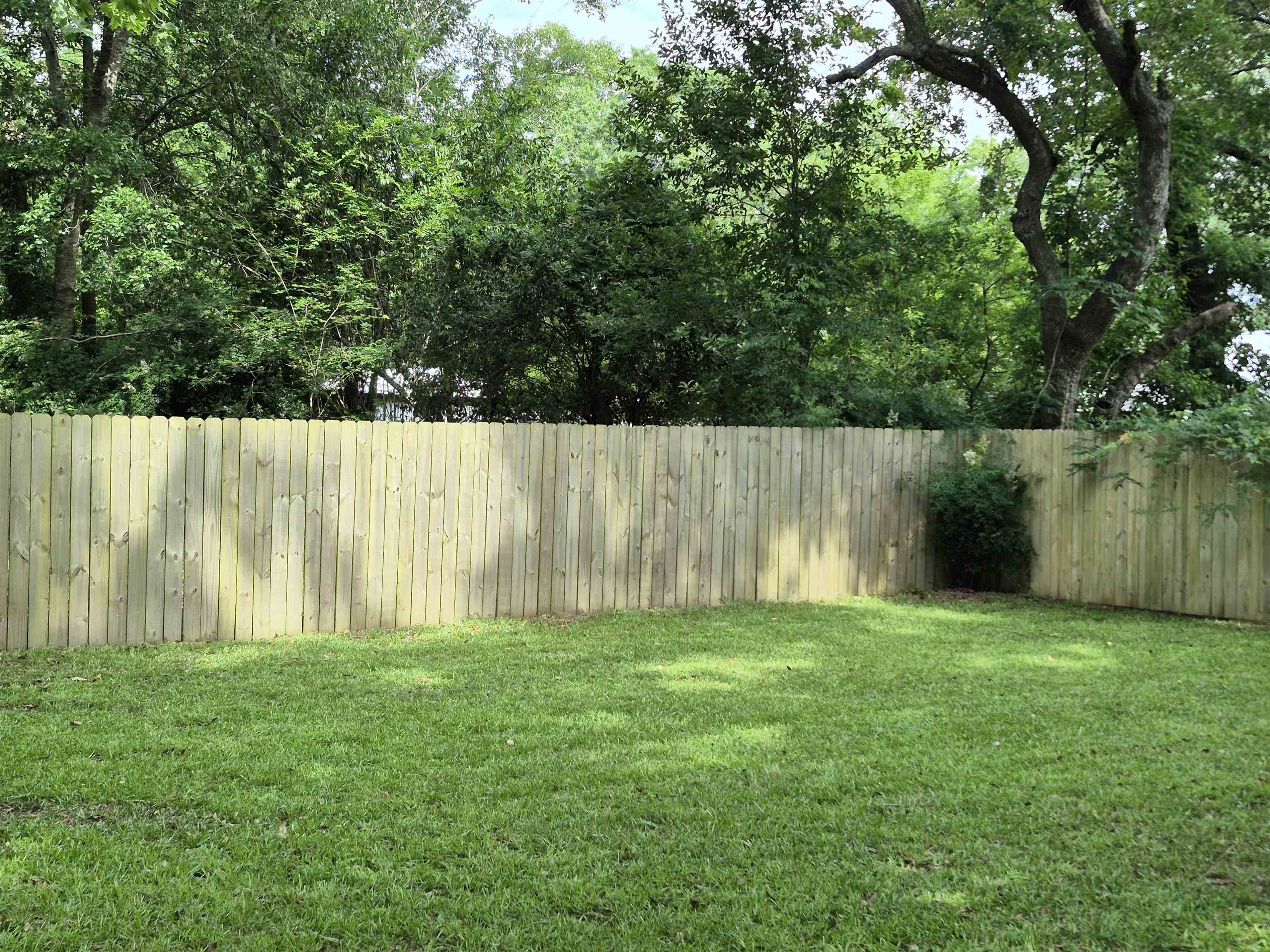 24681 Olive Street Elberta, AL 36530 - Photo 8 of 22 Yard