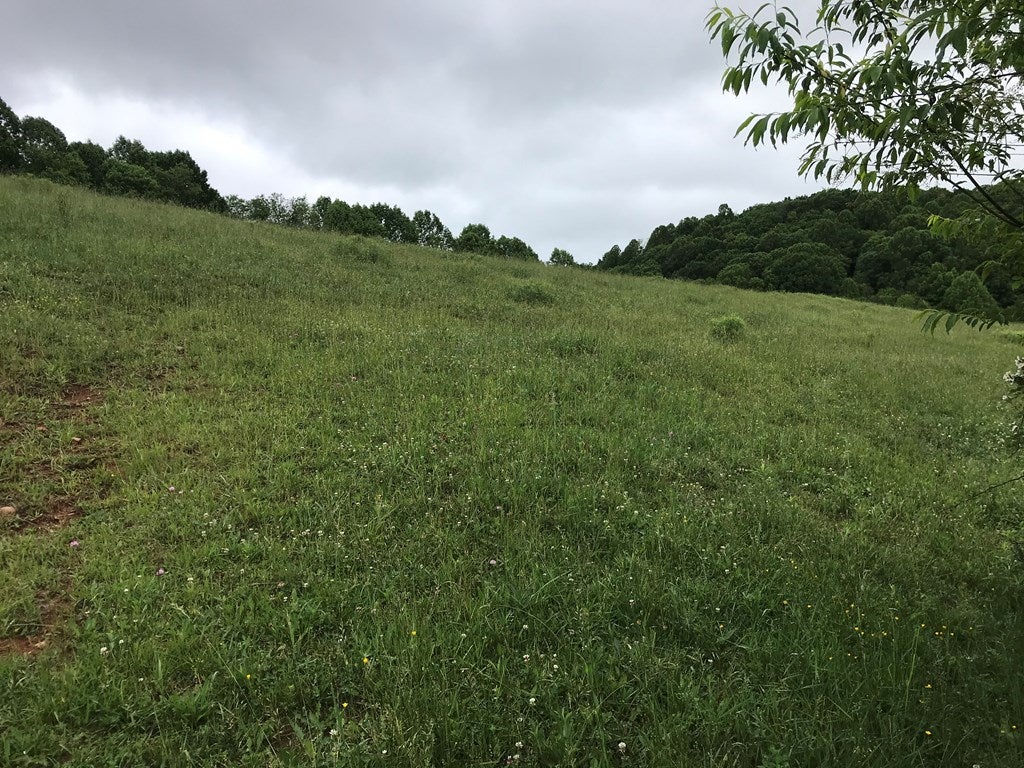 905 Knight Road Rural Retreat, VA 24368 - Photo 15 of 41 Gallery Image 15