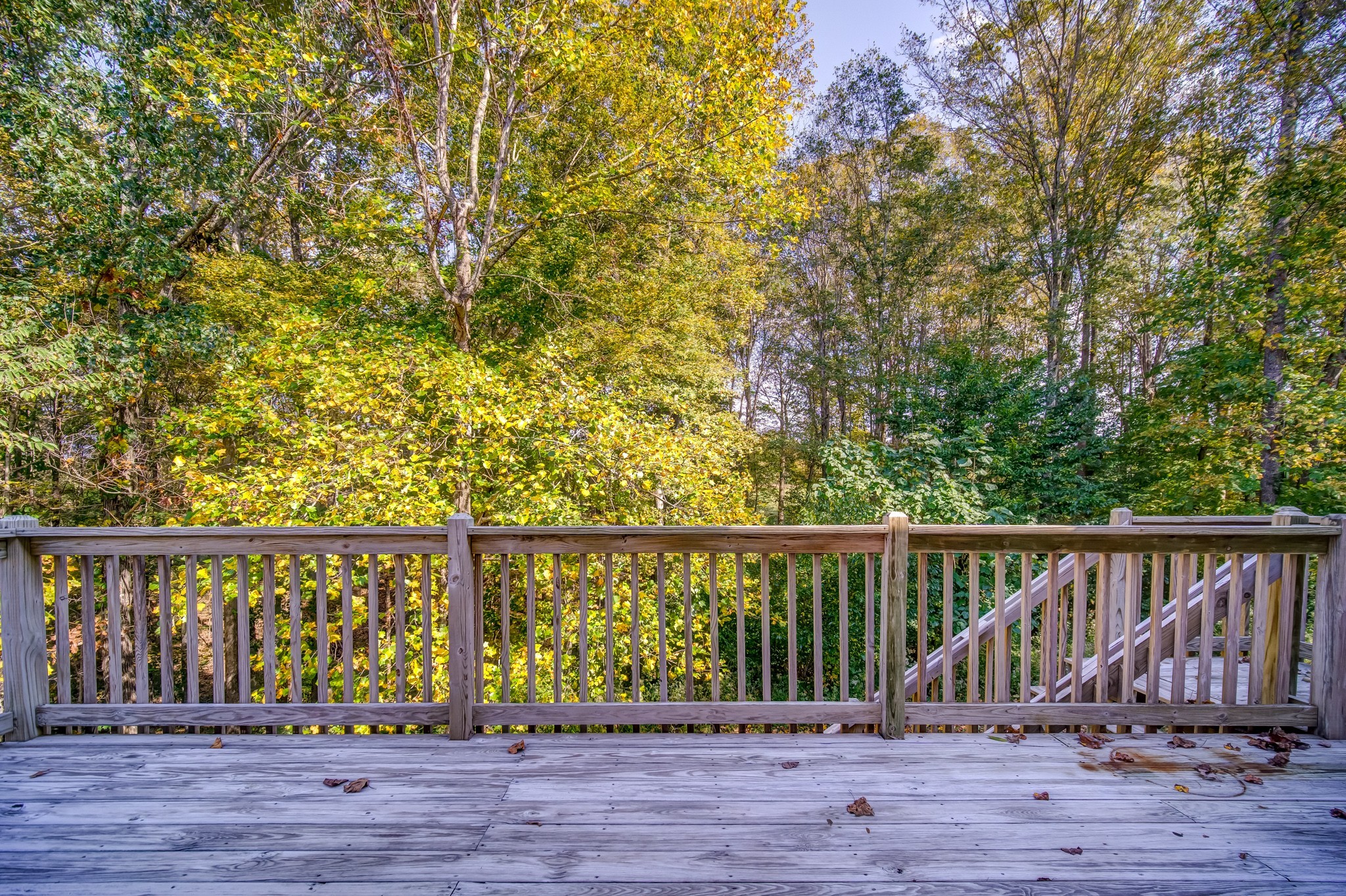 7583 Cherokee Hills Road Fairview, TN 37062 - Photo 62 of 62 a view of wooden deck and the trees