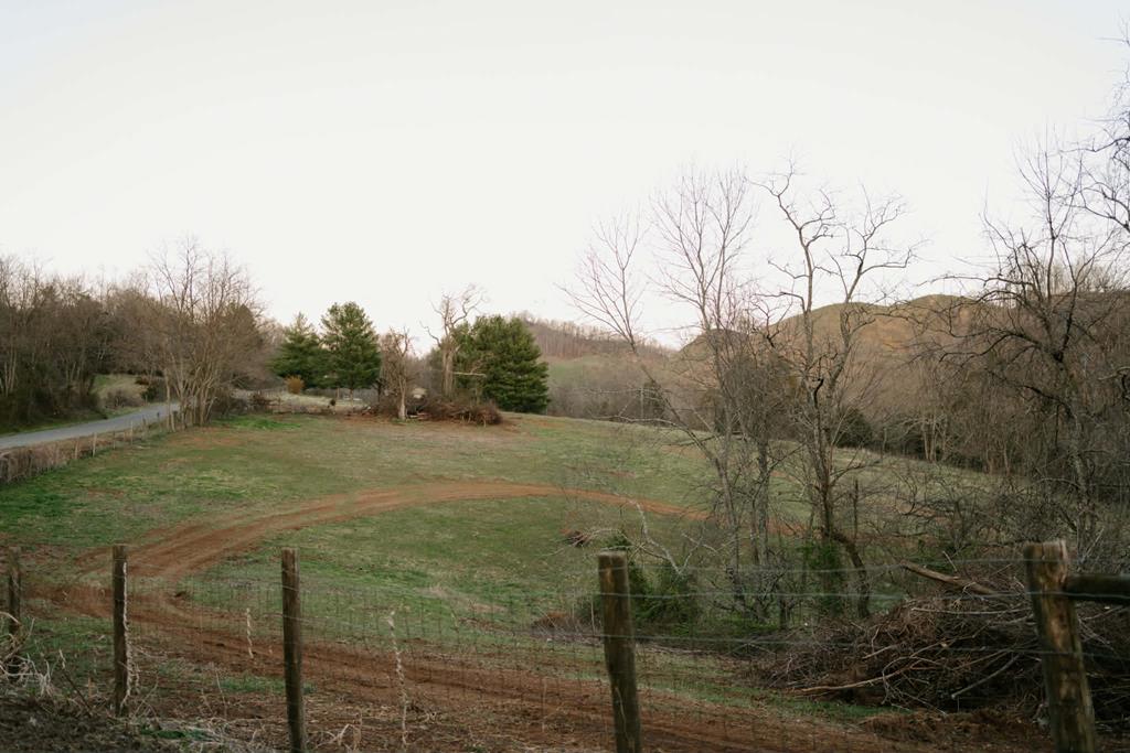 Tbd Romans Ridge Road Honaker, VA 24260 - Photo 12 of 33 Gallery Image 12