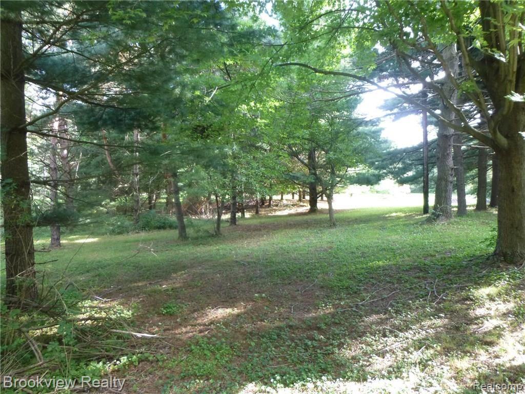 0 Weygant Drive Rochester, MI 48306 - Photo 3 of 5 Gallery Image 3