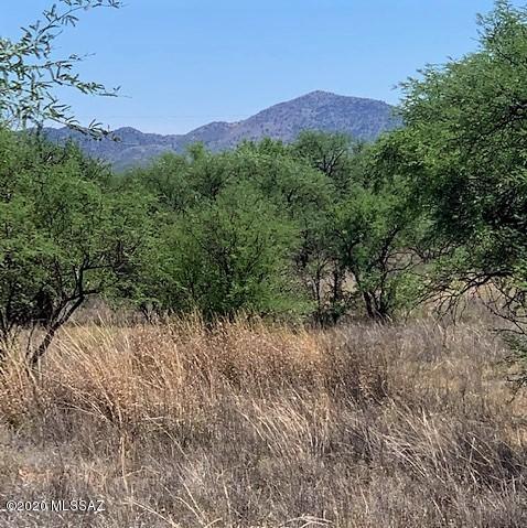 16005 West Ranger Road, Unit 171 Arivaca, AZ 85601 - Photo 1 of 17