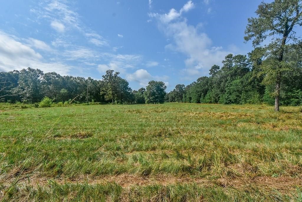 16428 Jireh Road Conroe, TX 77306 - Photo 24 of 25 a view of a green field with wooden fence