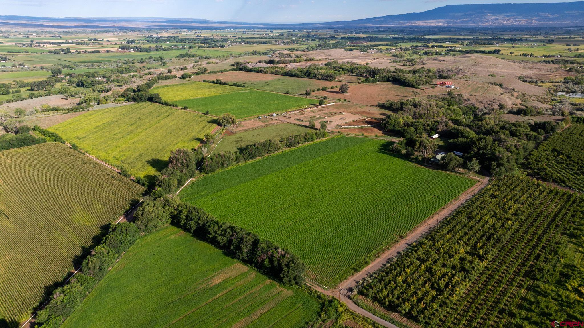 7531 High Mesa Road Olathe, CO 81425 - Photo 14 of 33 a view of a field with an ocean