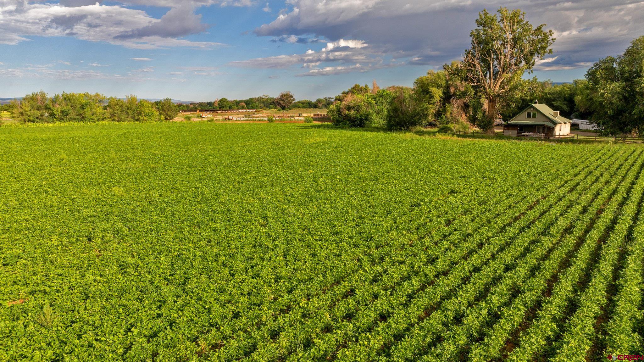 7531 High Mesa Road Olathe, CO 81425 - Photo 16 of 33 a view of a lake with a city