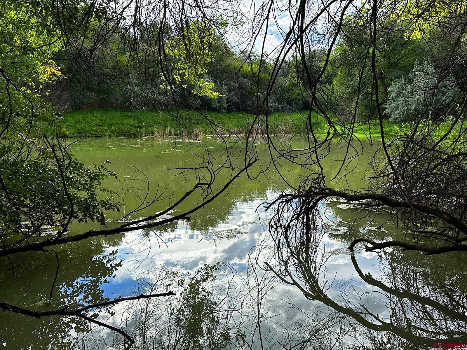 7531 High Mesa Road Olathe, CO 81425 - Photo 17 of 33 a view of a yard