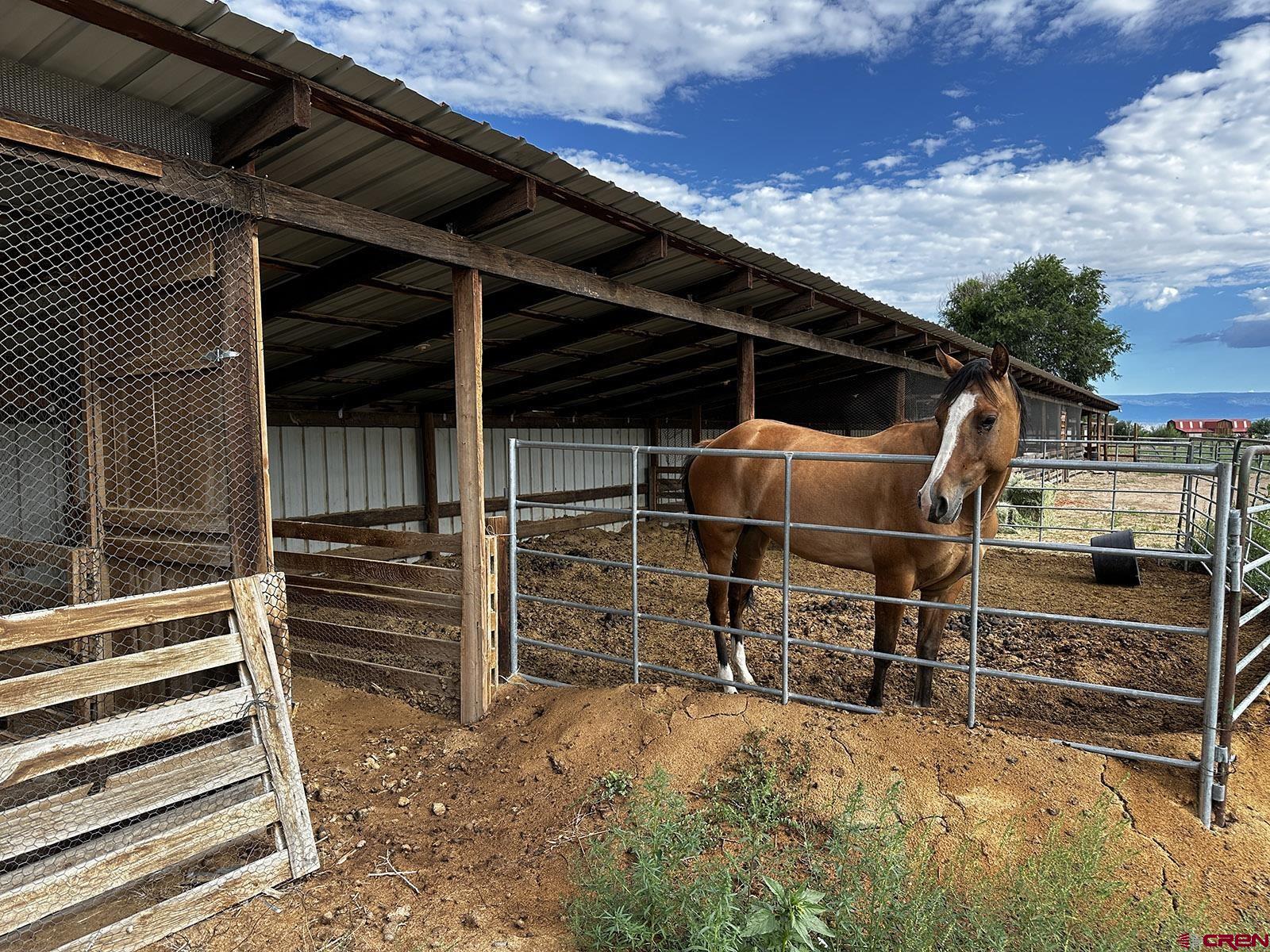 7531 High Mesa Road Olathe, CO 81425 - Photo 28 of 33 a view of an empty room with wooden shelves