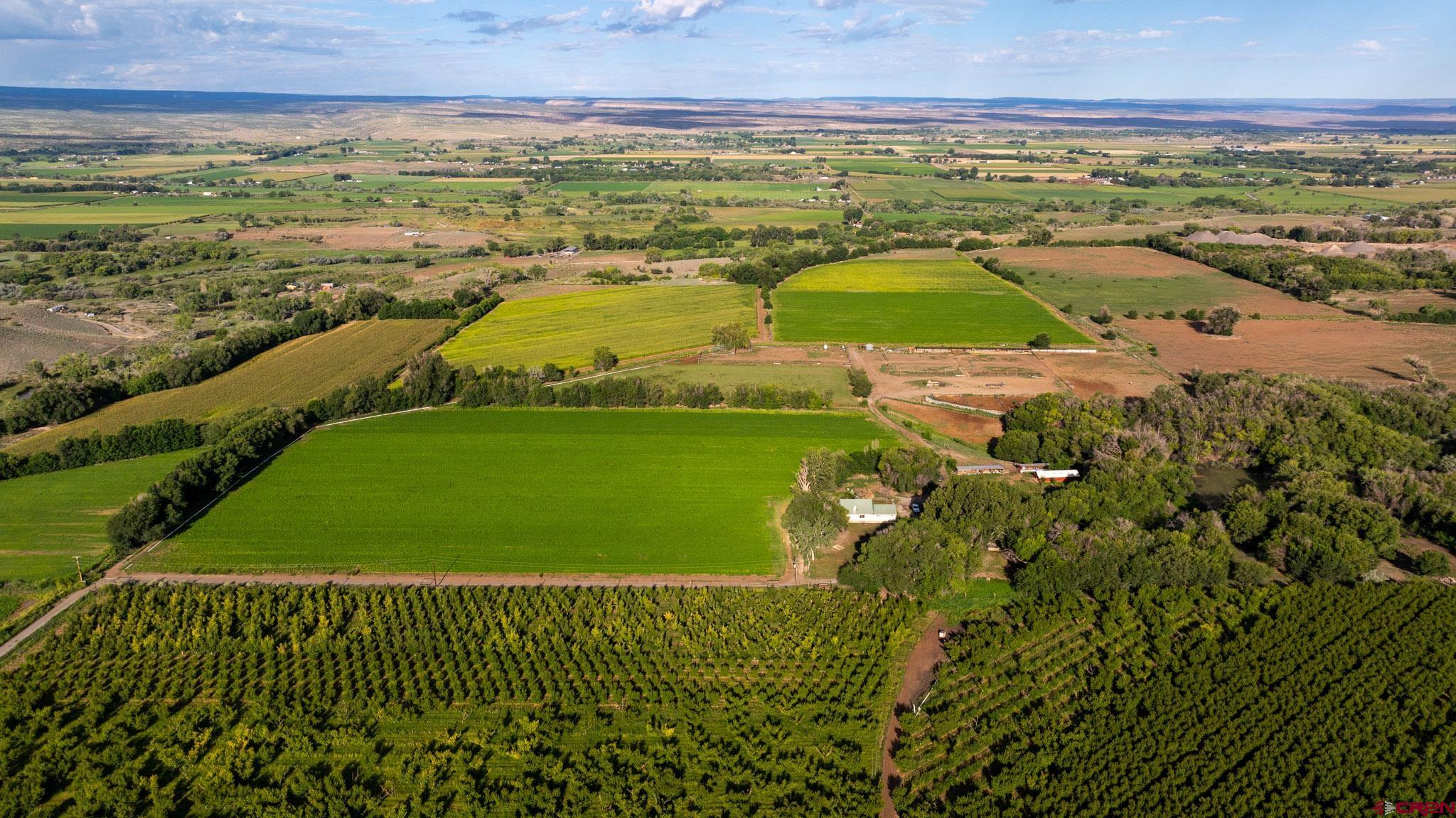 7531 High Mesa Road Olathe, CO 81425 - Photo 4 of 33 a view of an outdoor space