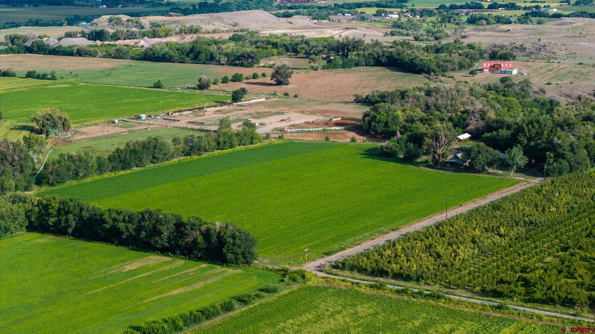 7531 High Mesa Road Olathe, CO 81425 - Photo 5 of 33 a view of a garden with an outdoor space