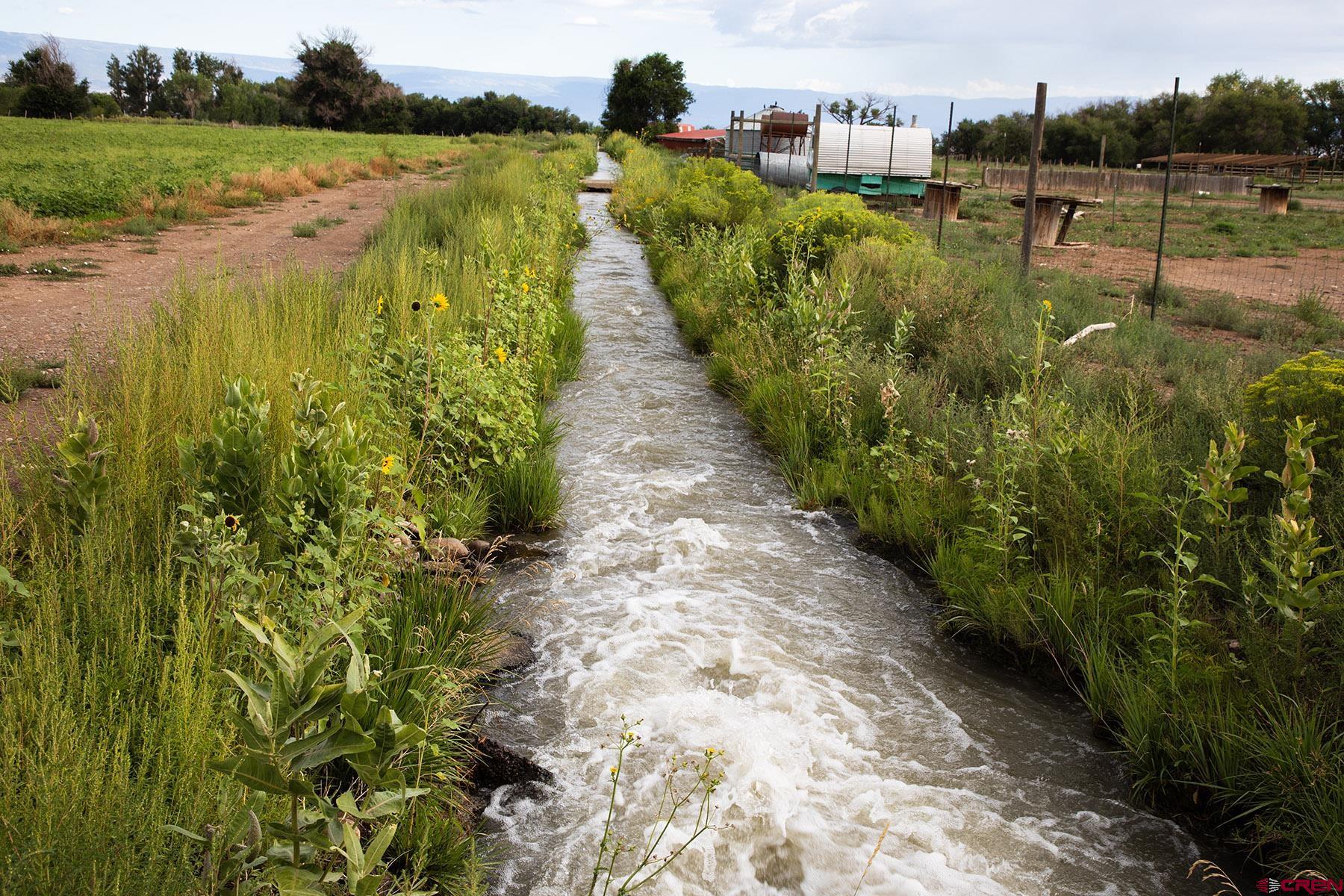 7531 High Mesa Road Olathe, CO 81425 - Photo 7 of 33 a view of a lake with a building in the background