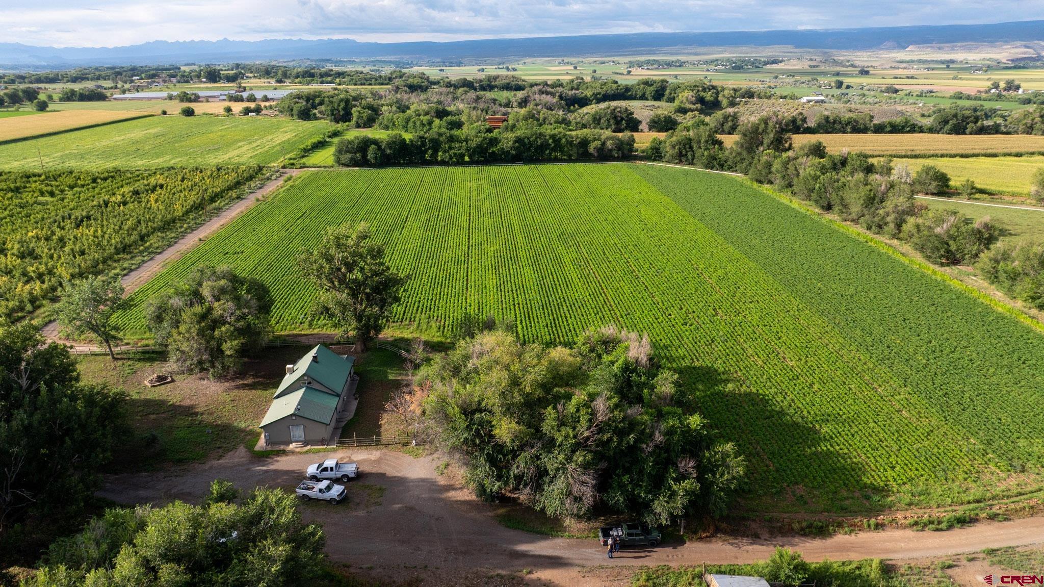 7531 High Mesa Road Olathe, CO 81425 - Photo 9 of 33 a view of a city and mountains