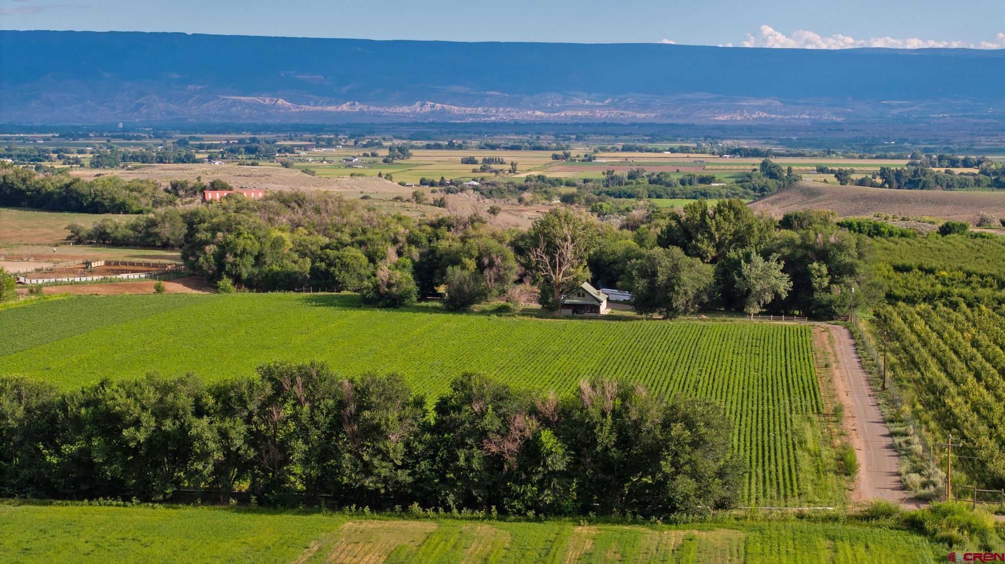 7531 High Mesa Road Olathe, CO 81425 - Photo 10 of 33 a view of a city with lush green forest