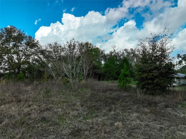 $24,000 | 106 North W Fat Cat Court, Lake City, FL 32055