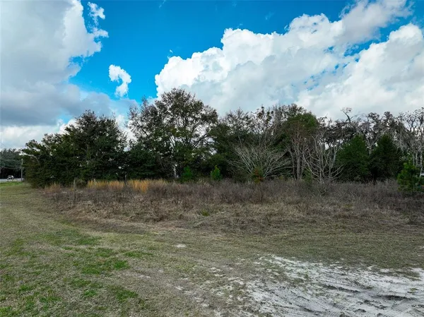 $24,000 | 106 North W Fat Cat Court, Lake City, FL 32055