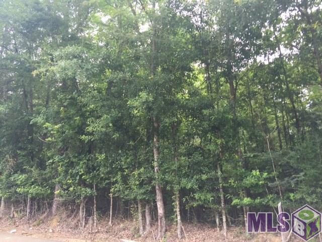 Tbd Tbd Watts Road Livingston, LA 70754 - Photo 1 of 1 Gallery Image 1
