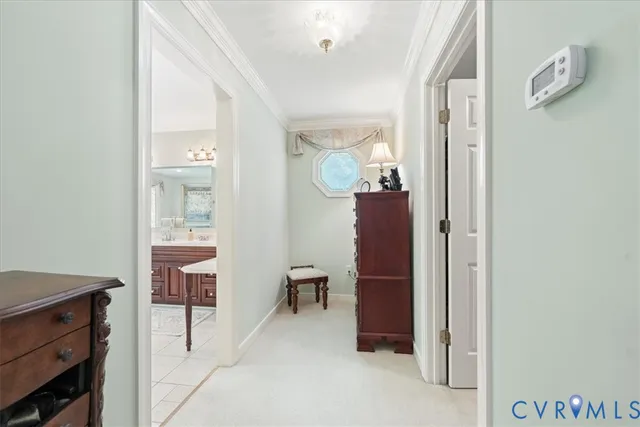 a view of a yard with large trees