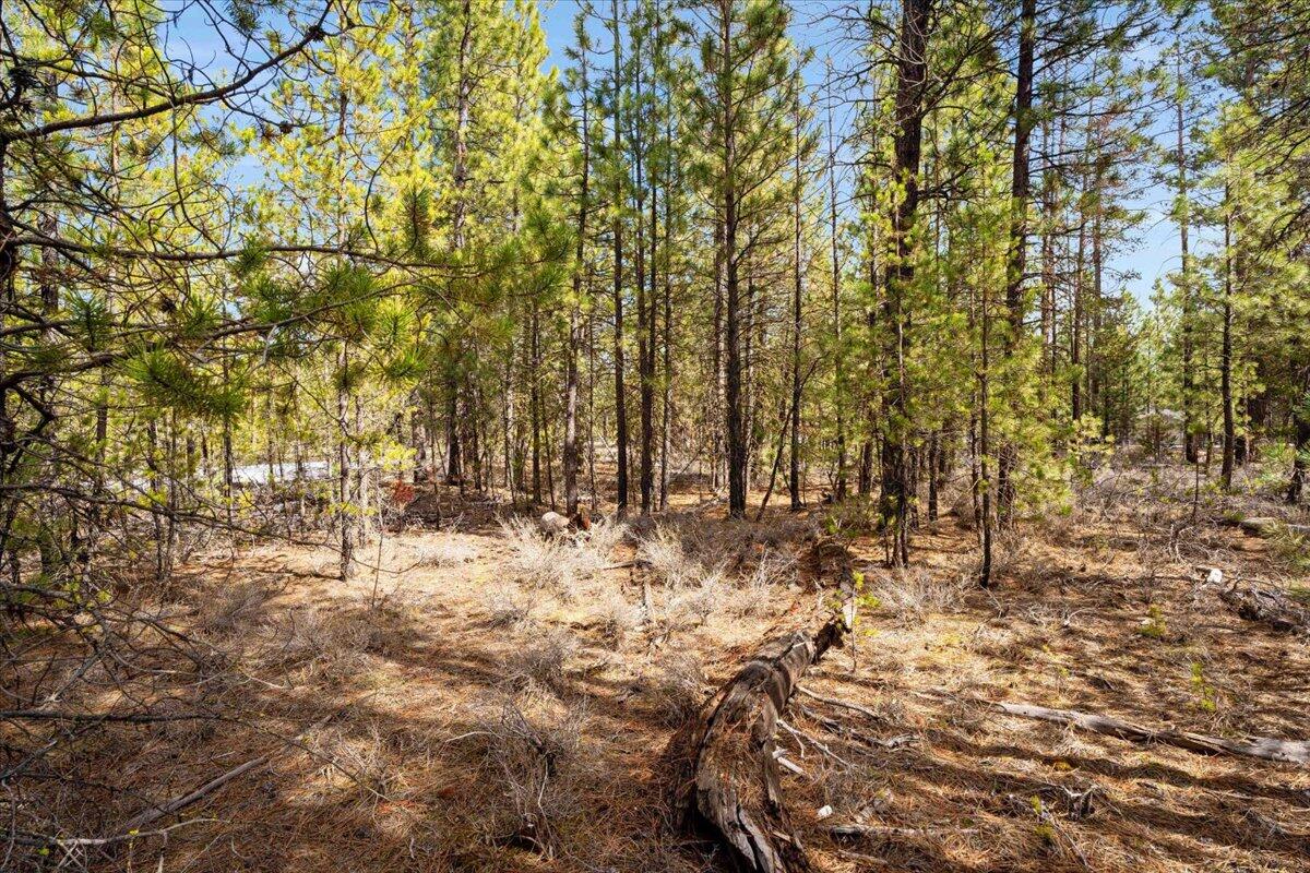 4500 Lukes Road La Pine, OR 97739 - Photo 7 of 12 7-Lot
