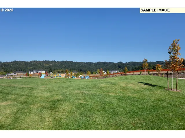 a view of a park with swings and slides