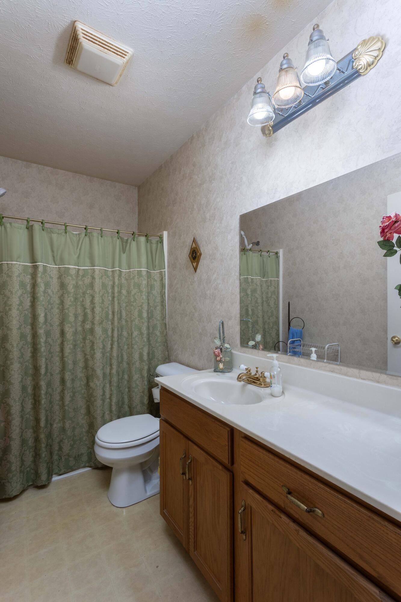 201 Broyles Road Spring City, TN 37381 - Photo 24 of 34 a bathroom with a sink a toilet and a mirror