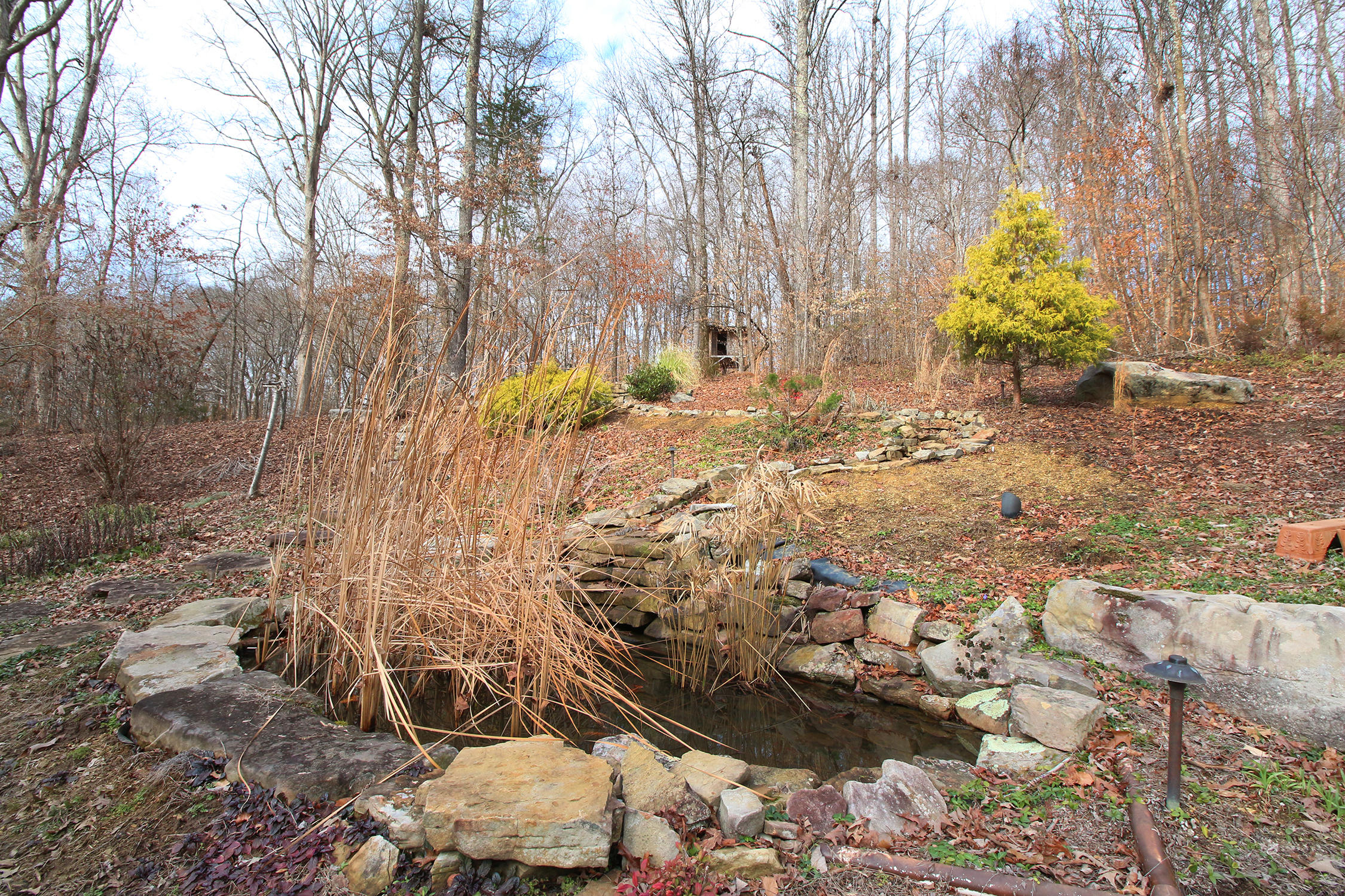 2953 Miller Road Powell, TN 37849 - Photo 36 of 40 IMG_0889