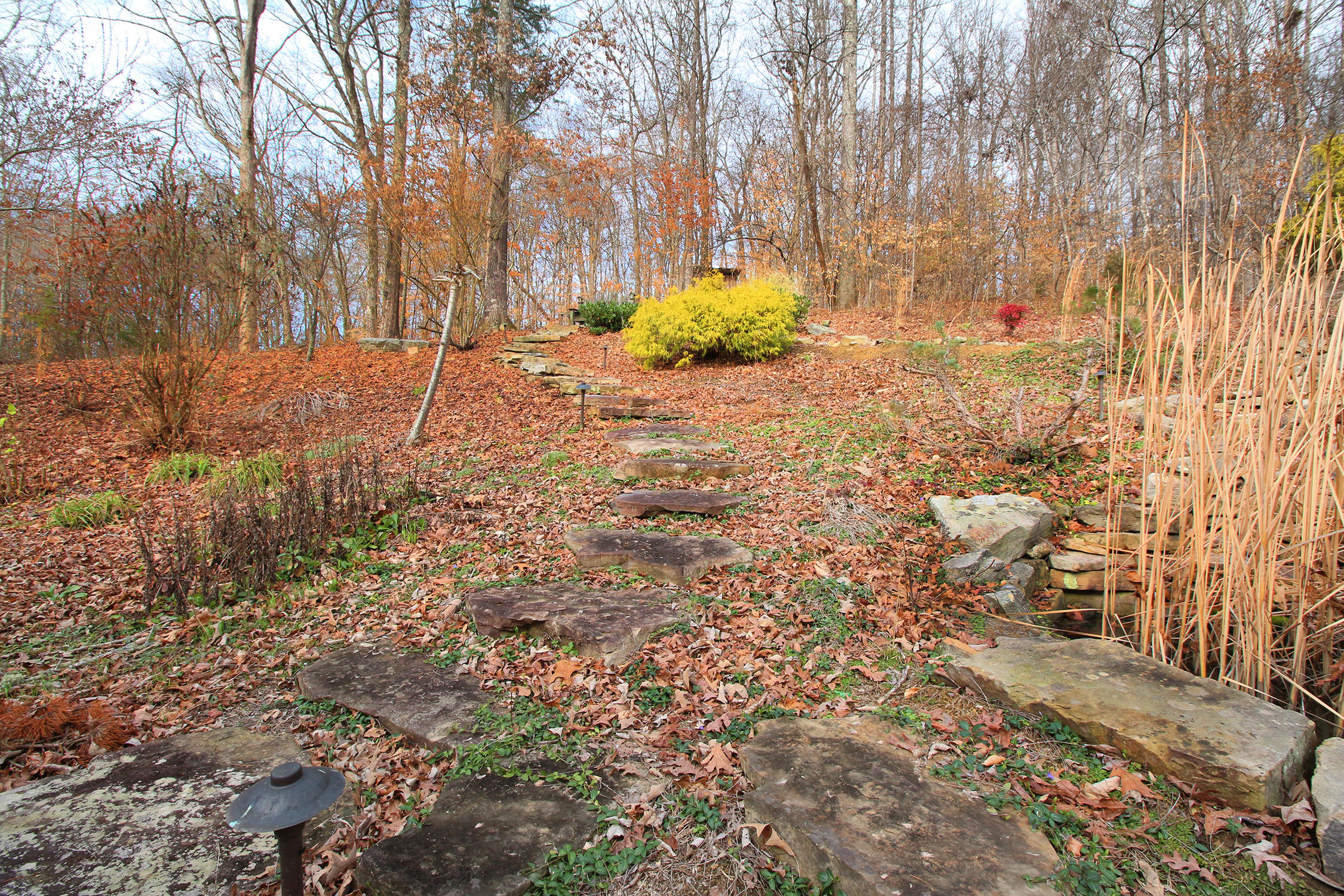 2953 Miller Road Powell, TN 37849 - Photo 38 of 40 IMG_0887