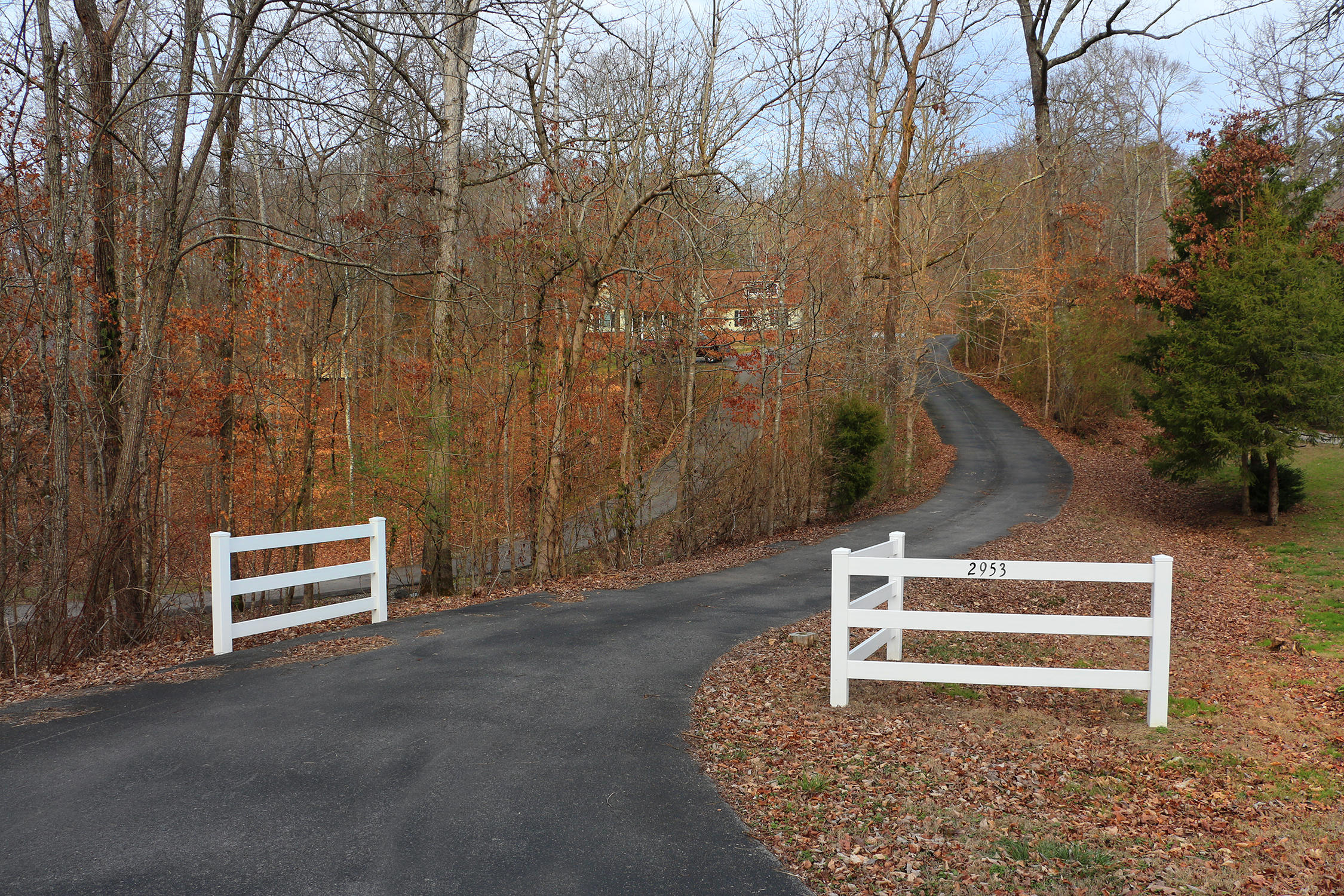 2953 Miller Road Powell, TN 37849 - Photo 6 of 40 IMG_0849