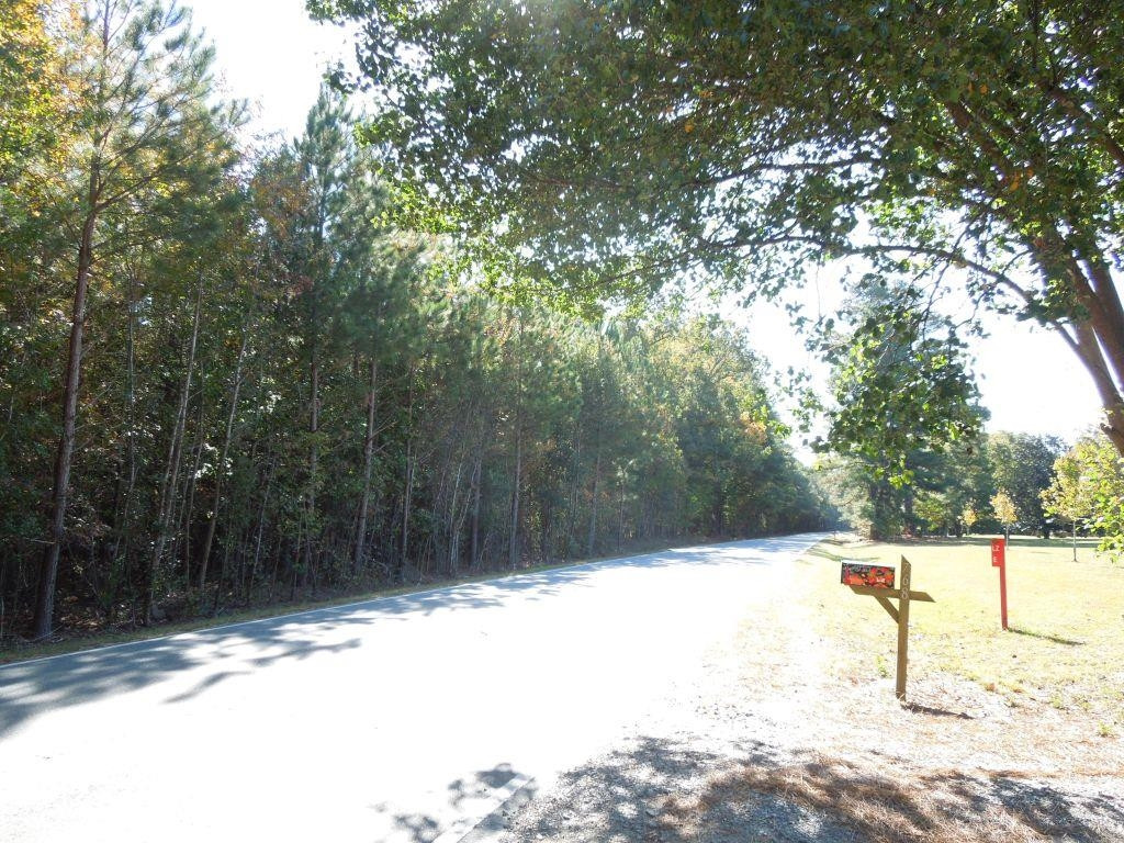 Mcduffie Road Biscoe, NC 27209 - Photo 11 of 15 a view of a backyard