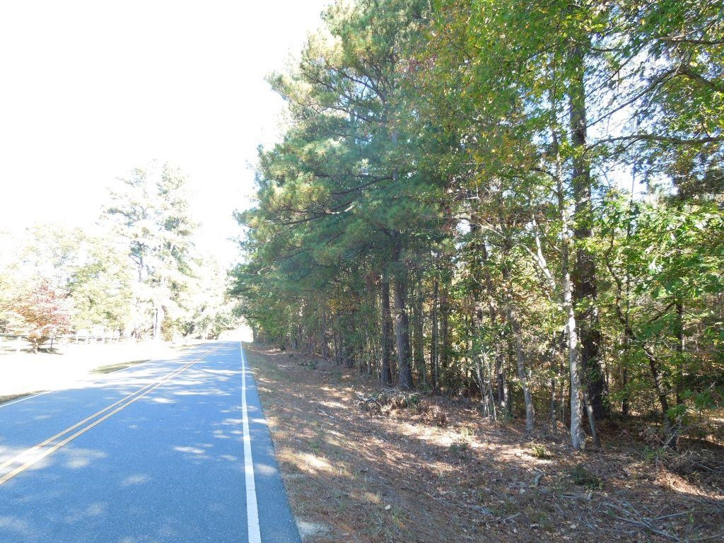 Mcduffie Road Biscoe, NC 27209 - Photo 12 of 15 a view of backyard with green space