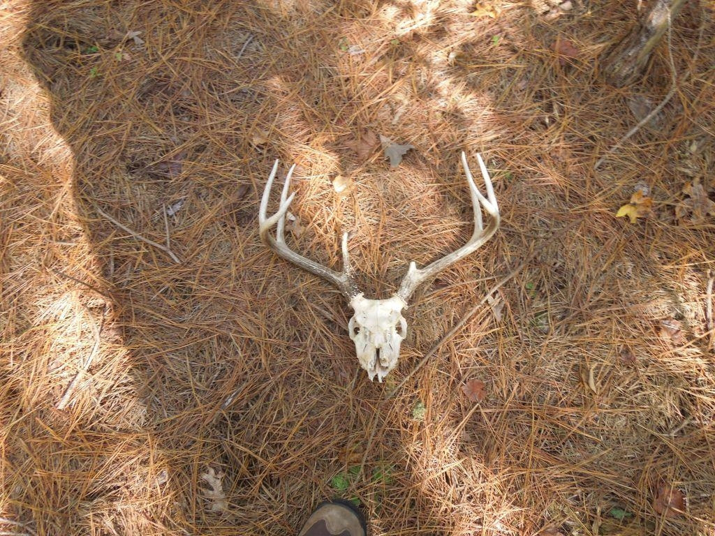 Mcduffie Road Biscoe, NC 27209 - Photo 15 of 15 a close up of a white marble wall