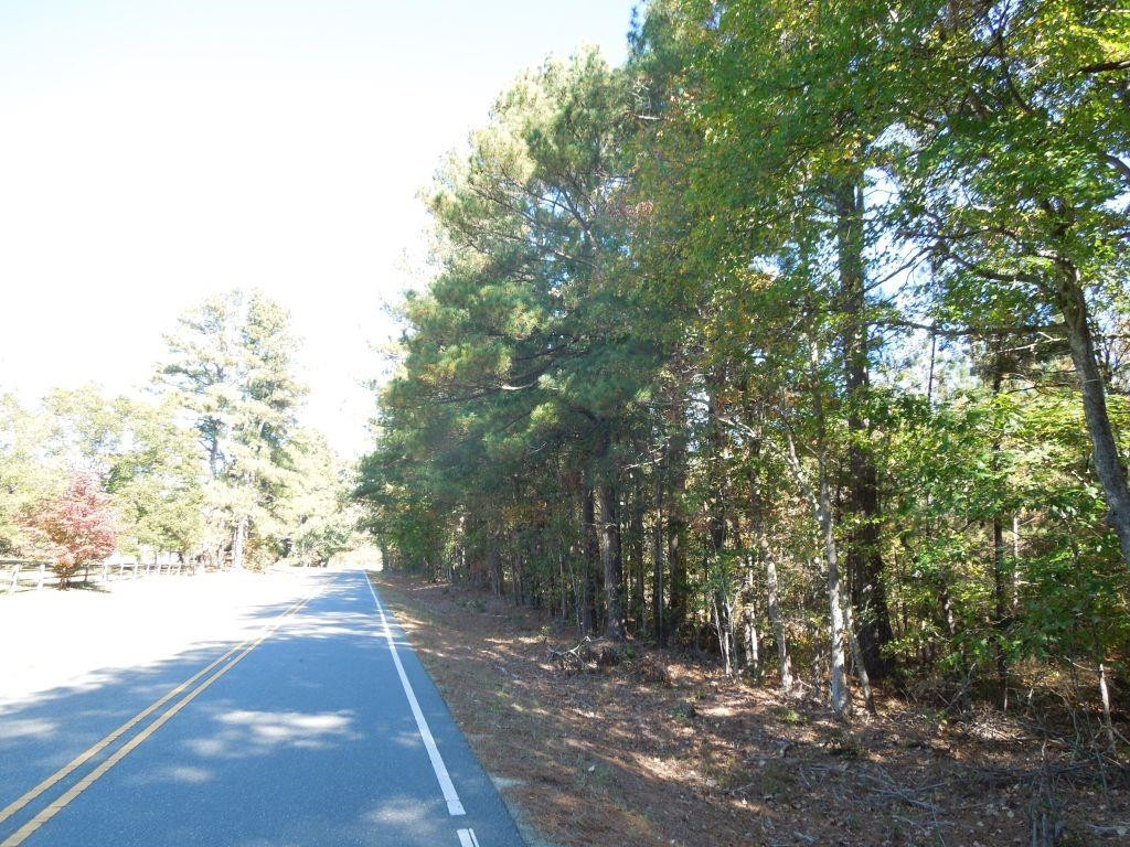 Mcduffie Road Biscoe, NC 27209 - Photo 7 of 15 a view of a yard with plants and trees