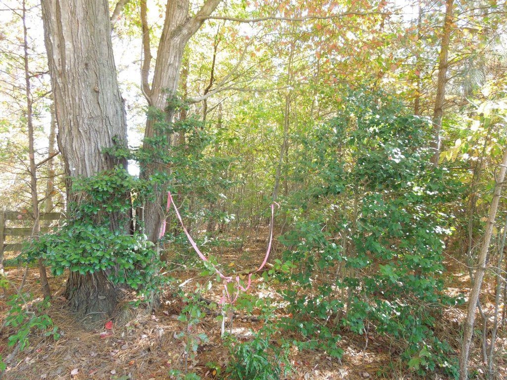 Mcduffie Road Biscoe, NC 27209 - Photo 8 of 15 a backyard of a house with lots of green space and a fountain