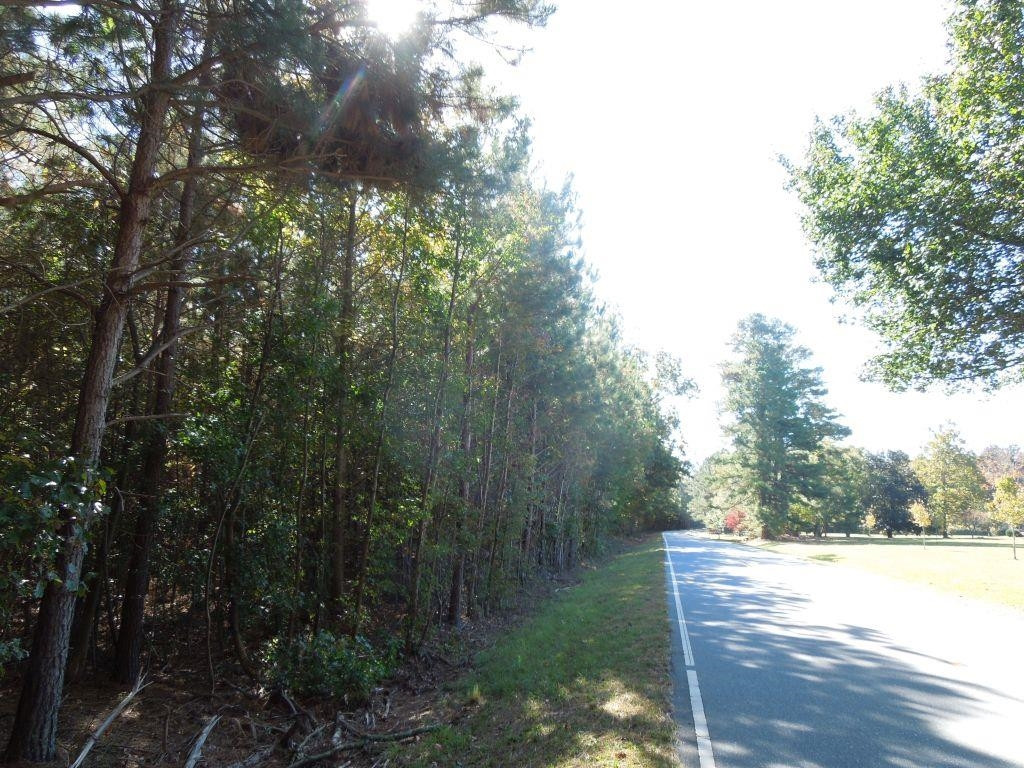 Mcduffie Road Biscoe, NC 27209 - Photo 9 of 15 a view of lake view and mountain view