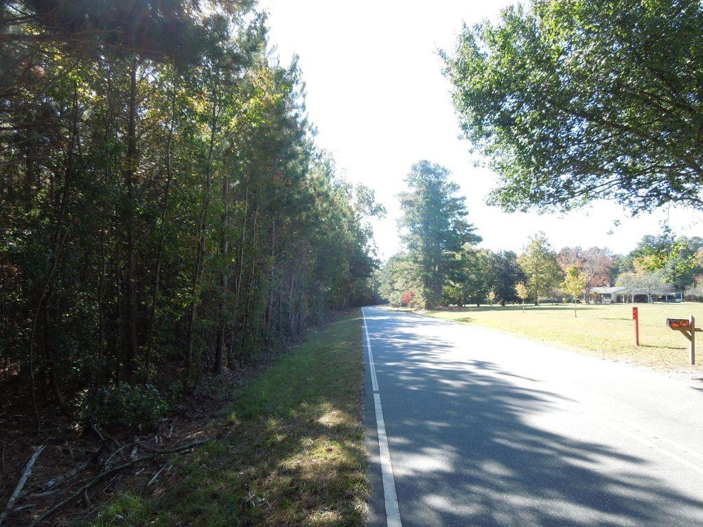 Mcduffie Road Biscoe, NC 27209 - Photo 10 of 15 a view of an ocean and a yard