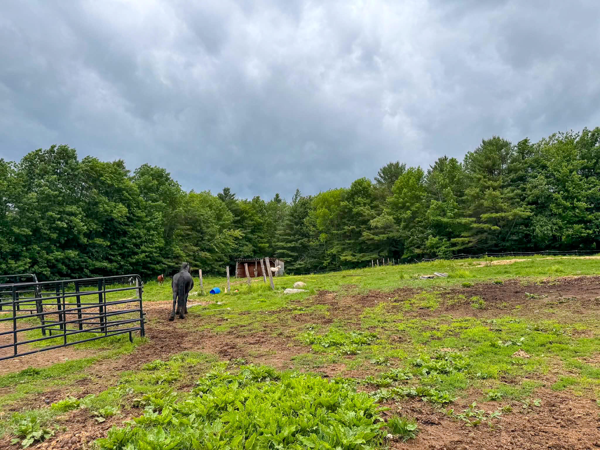 122 Old Dover Road Dexter, ME 04930 - Photo 24 of 24 22
