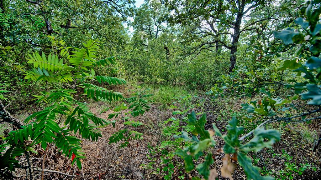 Tbd Haigood Road Bowie, TX 76230 - Photo 8 of 20