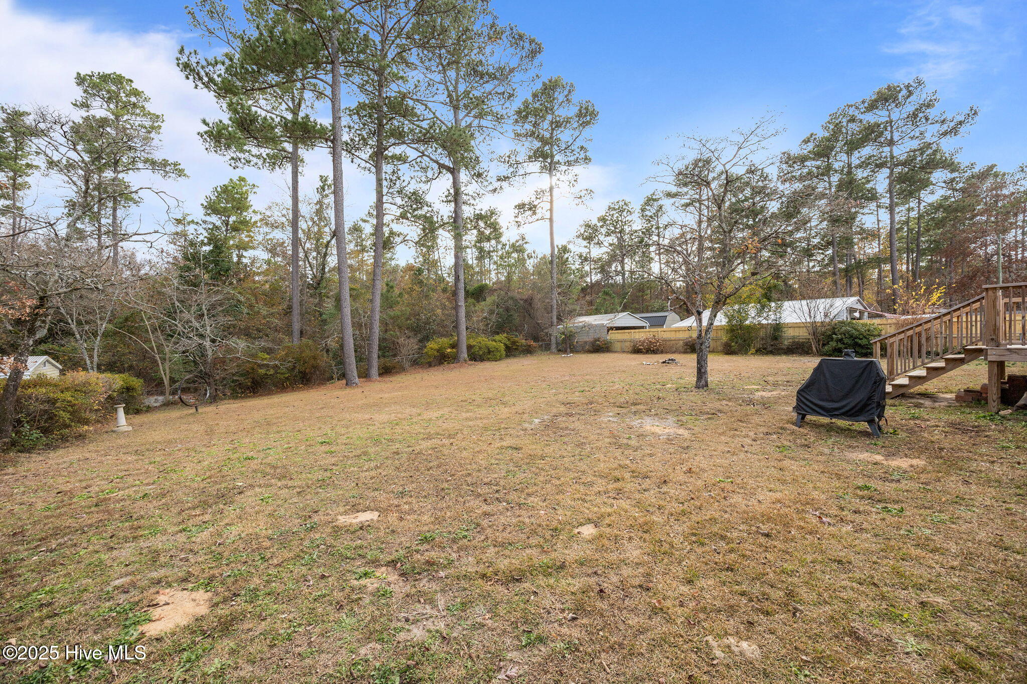 820 East Donaldson Avenue Raeford, NC 28376 - Photo 41 of 47 42-web-or-mls-IMG_7543