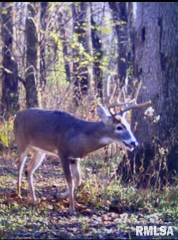 $210,000 | 4331 B County Road 1225 East, Salem, IL 62881