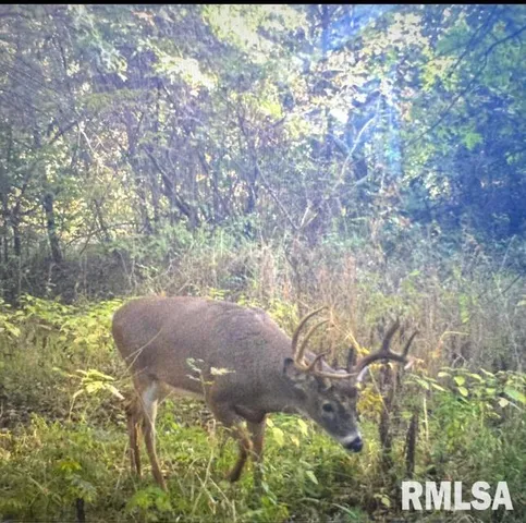 $210,000 | 4331 B County Road 1225 East, Salem, IL 62881