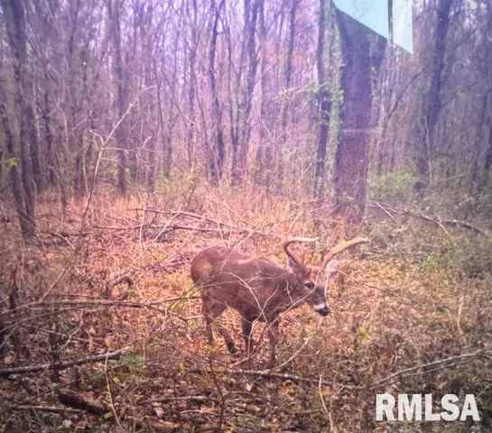 $210,000 | 4331 B County Road 1225 East, Salem, IL 62881