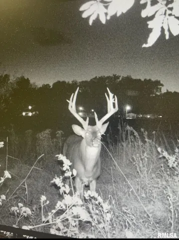 $210,000 | 4331 B County Road 1225 East, Salem, IL 62881