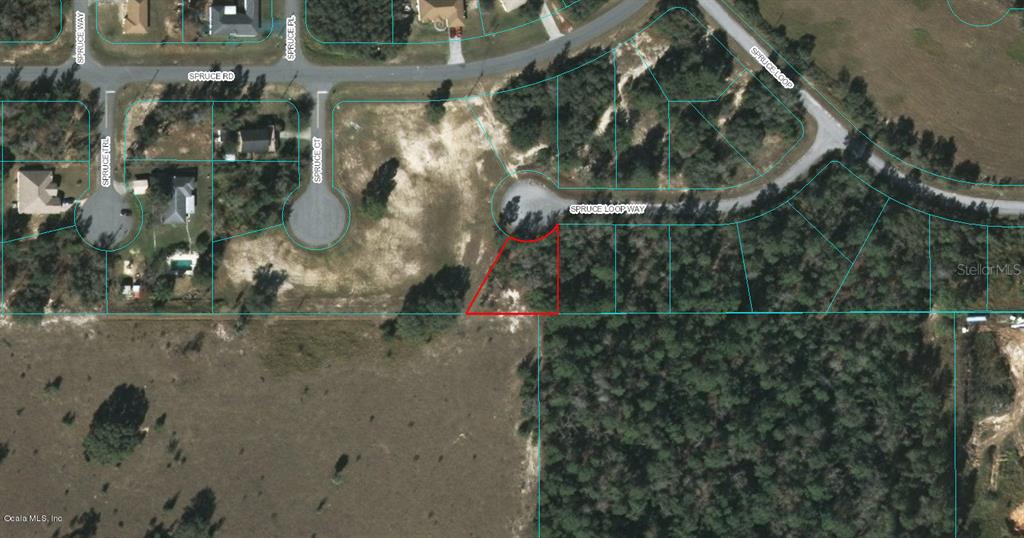 0 Spruce Loop Way Ocala, FL 34472 - Photo 1 of 1 9013-0137-07
