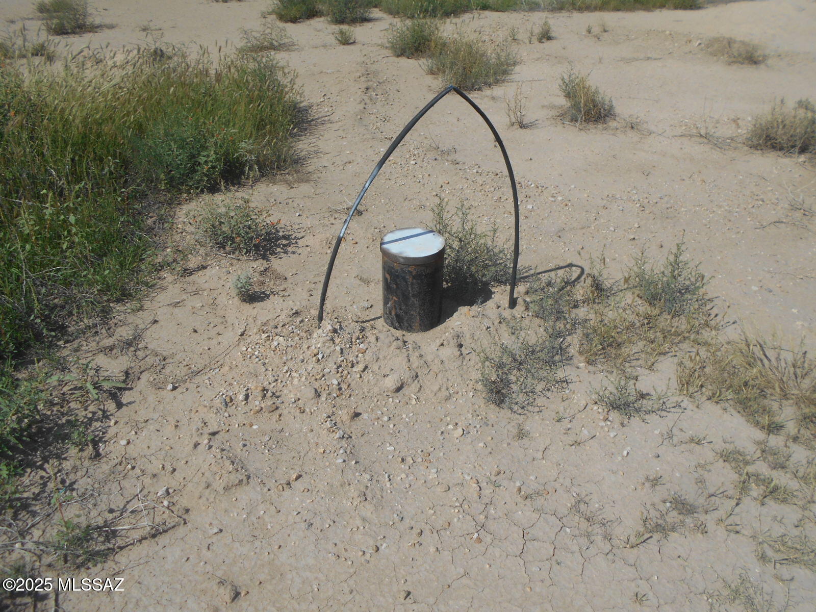 4.7-acres Ingram Road Willcox, AZ 85643 - Photo 5 of 25 a view of a dry yard with wooden fence