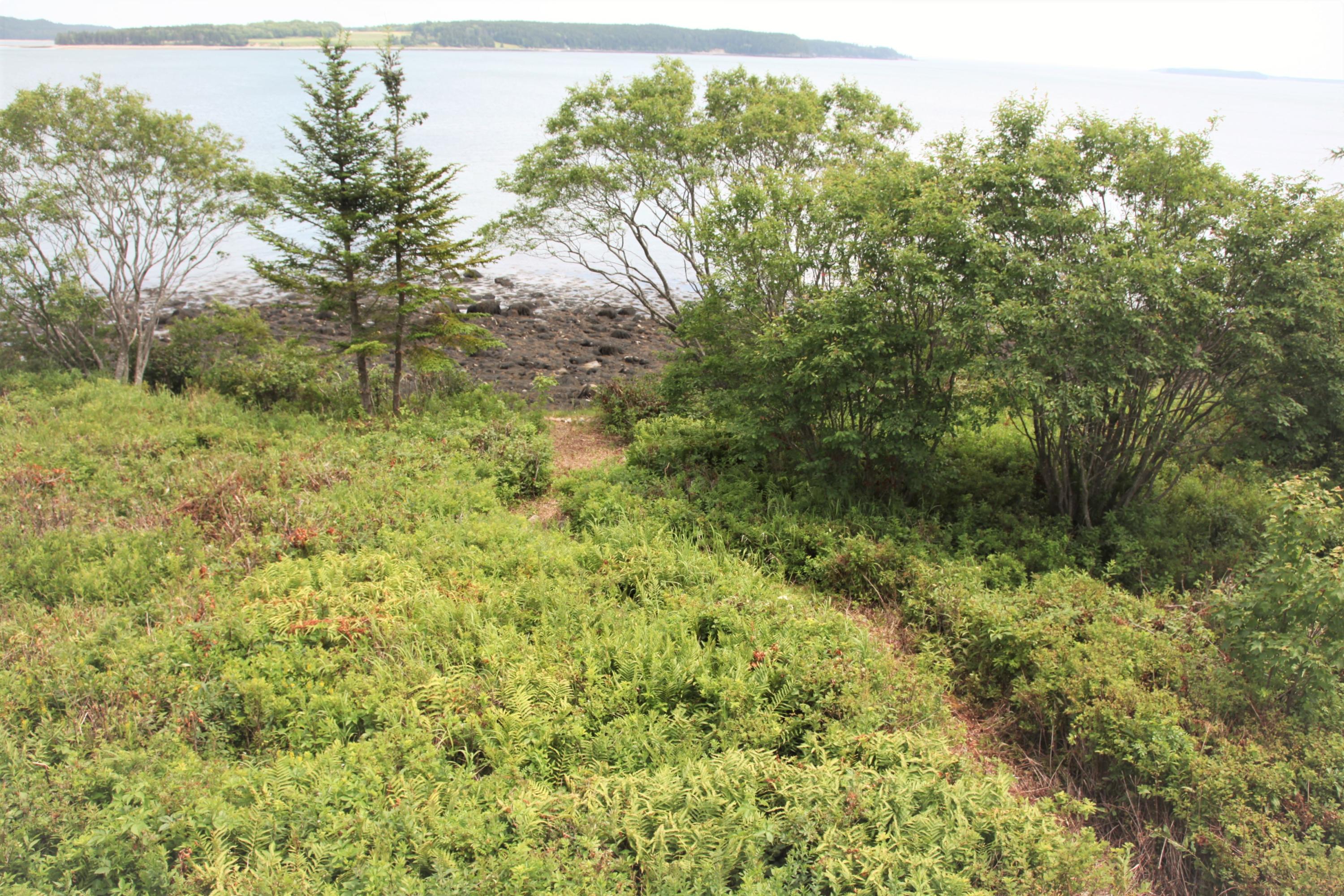 971 Mason Bay Road Jonesport, ME 04649 - Photo 59 of 64 IMG_0851