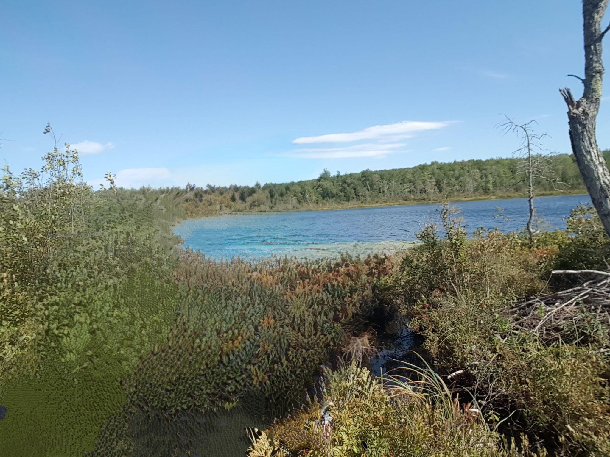 99 Parker Pond Road Jay, ME 04239 - Photo 4 of 9