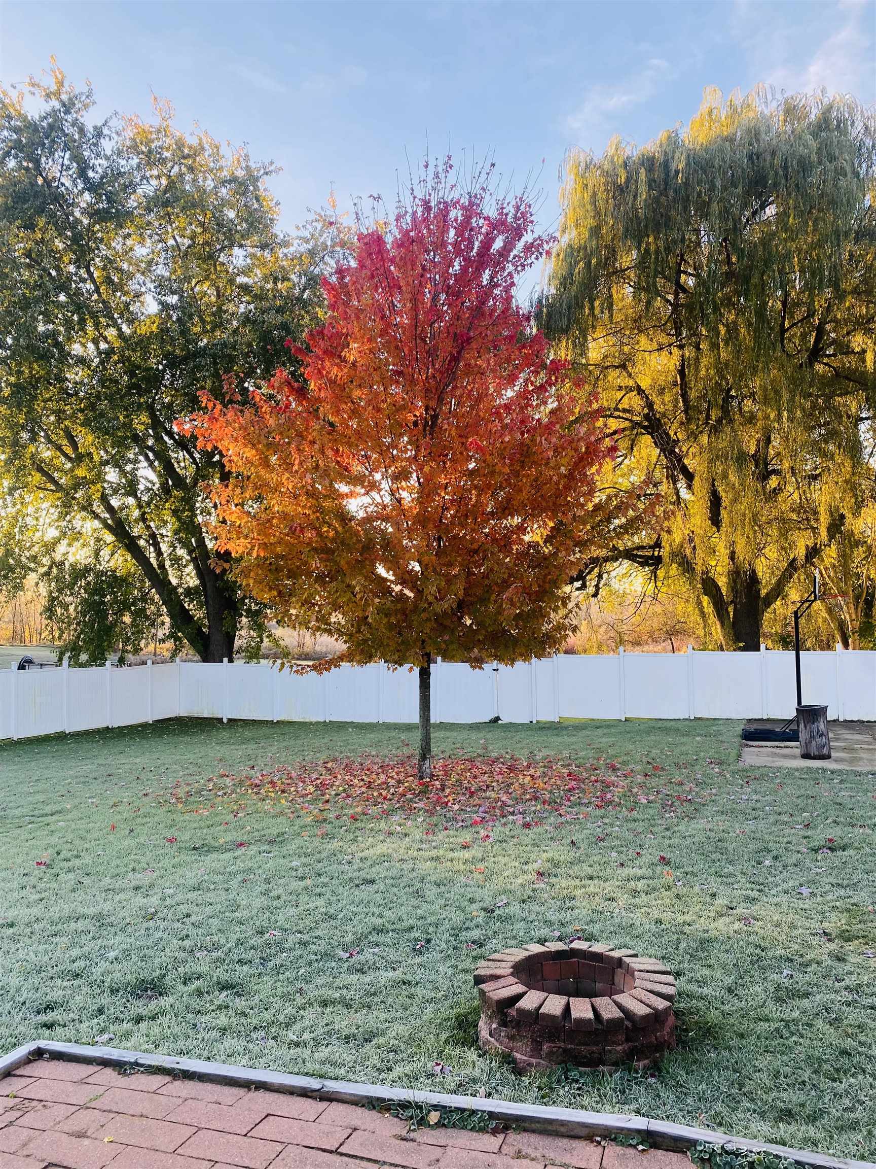 946 East Madison Street Waterloo, WI 53594 - Photo 24 of 34